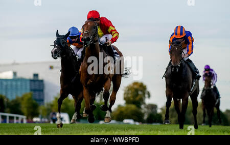 Dublin, Irlande. 14Th Sep 2019. 14 septembre 2019 : # 5 Iridessa, montée par Wayne Lordan, remporte la Fastnet Coolmore Stakes pendant un jour de semaine des Champions de l'Irlandais à l'hippodrome de Leopardstown à Dublin, Irlande. Scott Serio/Eclipse Sportswire/CSM/Alamy Live News Banque D'Images