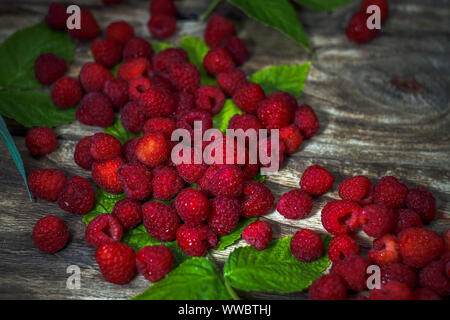 Framboises vue en gros plan. Macro photo food framboise. Texture background rose mûre framboise. Banque D'Images