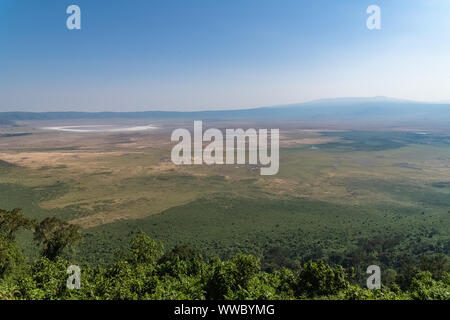 La Tanzanie, vue sur le cratère du Ngorongoro, beau paysage avec des animaux différents de vivre ensemble Banque D'Images