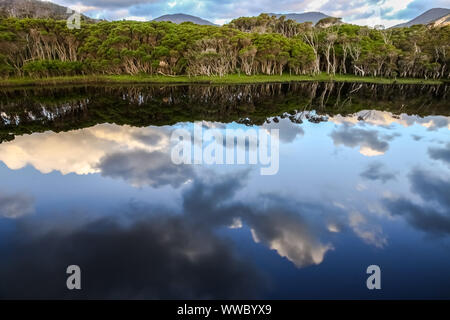 Réflexions en rivière à marées, Wilsons Promontory National Park, Victoria, Australie Banque D'Images