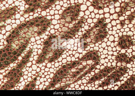 Cuir gaufré, motif de leopard, close-up, de la texture et du rayonnement naturel, tendance de la mode de jungle, teintes brunes exotiques à la mode, patte Banque D'Images