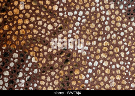 La texture lumineuse de cuir véritable, close-up, sous la peau en relief reptile, tons marron beige, de reptiles exotiques. Concept de fashion shopping, manufacturin Banque D'Images