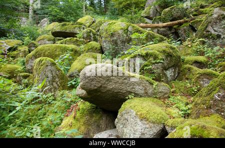 La Forêt Noire est une des plus belles natures en Allemagne Banque D'Images