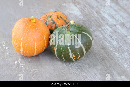 Trois citrouilles de différentes couleurs sur un fond de bois gris. Chasse d'automne. Banque D'Images