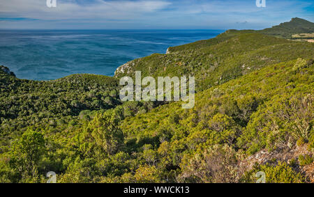 Baia de Setubal, Océan Atlantique, vue de la route 379-1 dans la Serra da Arrabida, Costa Azul, Parc Naturel d'Arrabida, près de Setubal, Portugal, Lisboa région Banque D'Images