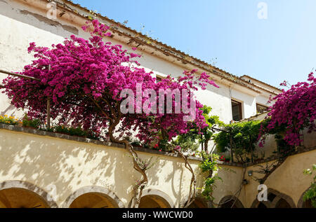 Agréable cour ; arcades ; bougainvilla ; fleurs cerise, colorées, Chiostro di San Francesco ; ancien monastère maintenant auberge ; Sorrento, Italie, Europe ; Banque D'Images