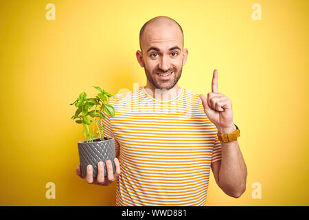 Jeune homme tenant le basilic plat terrain isolé sur fond jaune surpris avec une idée ou une question doigt avec happy face, numéro un Banque D'Images