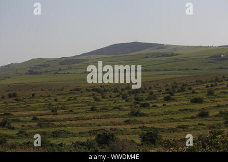 La fenaison au Boknes herbage, Eastern Cape, Afrique du Sud Banque D'Images