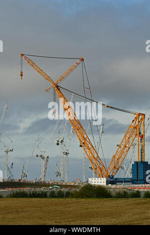 Hinckley Point, UK. 15 Sep, 2019. Rencontrez Big Carl les mondes plus grand Crane commence à travailler à Hinckley Point Power Station .l'article 656 pieds de hauteur 250mètres. Crédit : Robert Timoney/Alamy Live News Banque D'Images