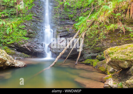 Parc naturel de Saja-Besaya, Cantabria, ESPAGNE Banque D'Images