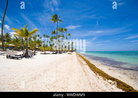 Plage tropicale en mer des Sargasses, Punta Cana, République Dominicaine Banque D'Images