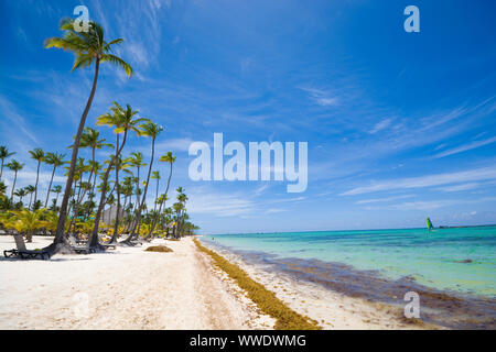 Plage tropicale en mer des Sargasses, Punta Cana, République Dominicaine Banque D'Images