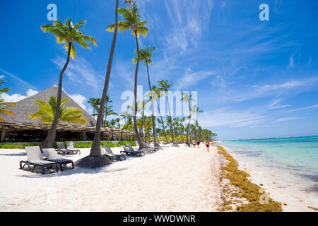 Plage tropicale en mer des Sargasses, Punta Cana, République Dominicaine Banque D'Images