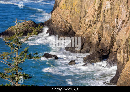 Dead Mans Cove, Île Déception, Long Beach, Wa Banque D'Images