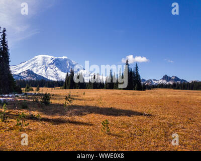 Grand Park, Mt Rainier, Washington Banque D'Images