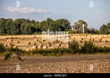 Les terres agricoles à Ray Rolls et terre labourée Banque D'Images