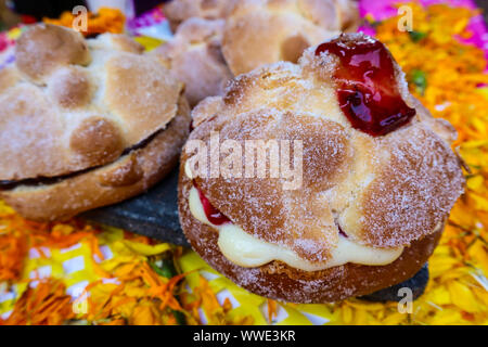 Pain gourmet pour le Jour des Morts (Pan de Muerto) Banque D'Images