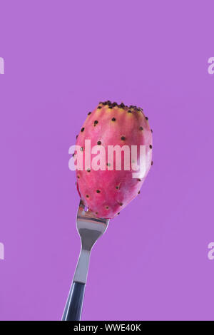Opuntia mature frais ou figuiers de barbarie isolé sur fond violet, pop-art, concept minimal Banque D'Images