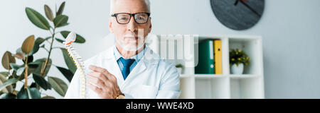 Vue panoramique tourné de médecin barbu à lunettes modèle rachis holding Banque D'Images