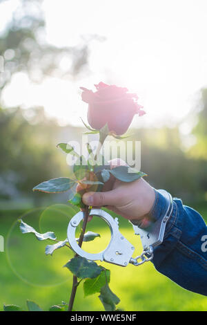 En plein air, de près, la main d'un homme dans les gants de cuir et des menottes, s'étend et donne une fleur rose rouge Banque D'Images