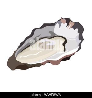 Huître dans l'icône du shell isolé sur fond blanc, fruits de mer frais, des aliments sains, vector illustration. Illustration de Vecteur