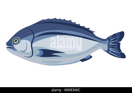 Dorado icône poisson isolé sur fond blanc, produit frais et sain, une cuisine méditerranéenne, vector illustration. Illustration de Vecteur