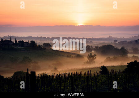 Brume matinale dans la campagne toscane, italie Banque D'Images