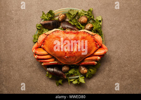 Vue du haut de la plaque avec la verdure, les matières du crabe, les coques et les moules sur la surface texturée Banque D'Images