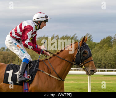 James Sullivan Jockey sur mon Valentino, vainqueur de l'Handicap Santé JMC (Div II) à Musselburgh - 14 septembre 2019. Banque D'Images