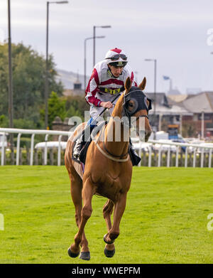 James Sullivan Jockey sur mon Valentino, vainqueur de l'Handicap Santé JMC (Div II) à Musselburgh - 14 septembre 2019. Banque D'Images