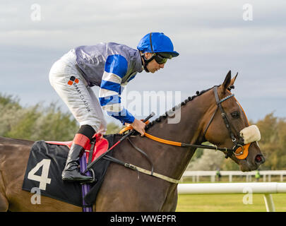 Jockey Connor Beasley sur Muhallab avant le début de l'Handicap Santé JMC (Div II) à Musselburgh - 14 septembre 2019. Banque D'Images