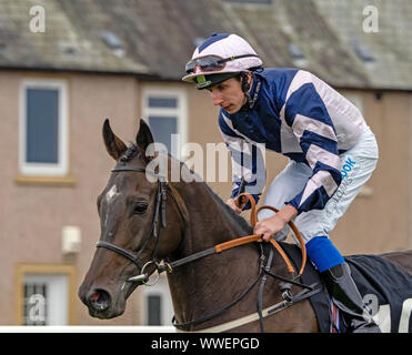 James Sullivan Jockey sur Agravain avant le début de la coupe de champagne Pommery Édimbourg Handicap à Musselburgh - 14 septembre 2019. Banque D'Images