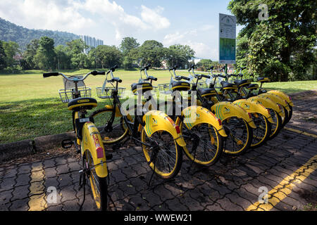 Taiping, Malaisie - 22 Jun, 2018 : service de partage de vélos de location à à basse vitesse à travers le lac Taiping Taiping, le jardin, la Malaisie - un trajet occasionnel Banque D'Images