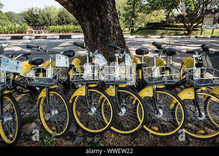 Taiping, Malaisie - 22 Jun, 2018 : service de partage de vélos de location à à basse vitesse à travers le lac Taiping Taiping, le jardin, la Malaisie - un trajet occasionnel Banque D'Images