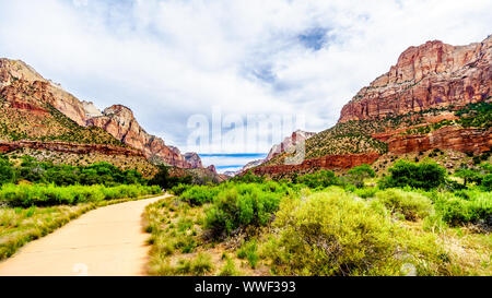 Montagnes à deux côtés de la Pa'rus Trail qui suit le long et au-dessus de la sinueuse rivière vierge dans le parc national de Zion dans l'Utah, USA Banque D'Images