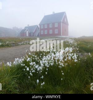 Foggy matin d'été au Groenland. Le pittoresque village d''Ilulissat Groenland sur la mer. Vieille maison de bois à Ilulissat, Groenland. Banque D'Images