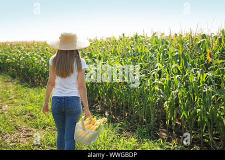 Femme avec panier d'épis de maïs dans le champ Banque D'Images