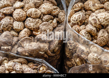 Close up champignons shiitake séchés de pf dans les sacs à un marché de rue dans le quartier chinois de Bangkok. La Thaïlande. Banque D'Images