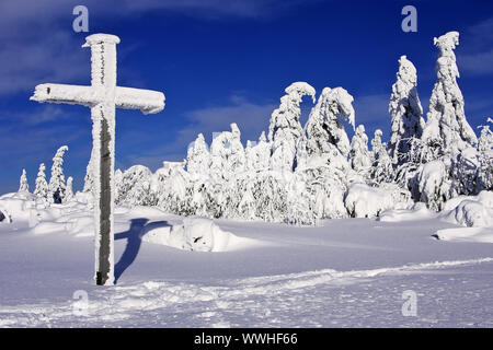 Les arbres, la neige, nord de la Forêt Noire, Schwarzwaldhochstrasse, Schliffkopf, hiver, Buehlertal, Bade-Wurtemberg, Allemagne Banque D'Images