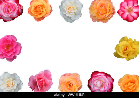 Collage de belles fleurs rose, Banque D'Images