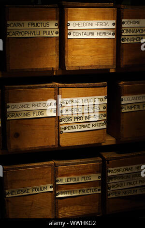 Photo de vieilles boîtes en pharmacie, étiquetées en latin. Rempli d'herbes séchées, fruits, fleurs et racines, utilisées dans les infusions médicinales. Banque D'Images