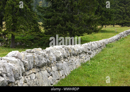 Un mur sec dans le Jura, Suisse Banque D'Images