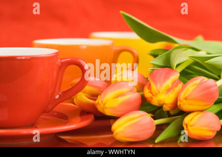 Rangée de tasses de couleur et de belles tulipes fraîches. Focus sélectif. Banque D'Images