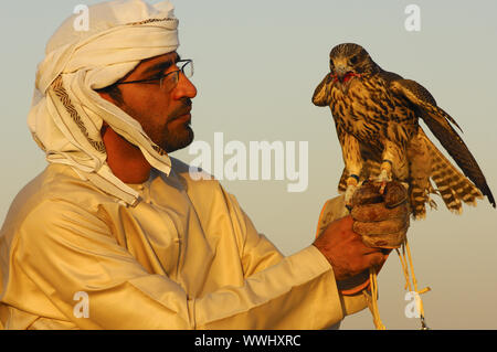 Falconer avec faucon de chasse, Dubaï Banque D'Images