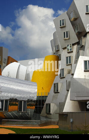 Stata Zentrum, MIT, Cambridge, USA Banque D'Images