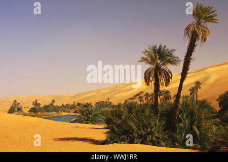 Um El Maa Lake dans l'Ubari Sand Sea Banque D'Images