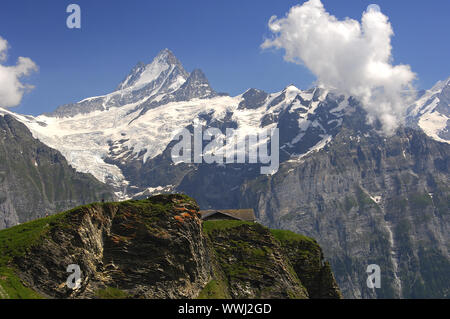 Schreckhorn et supérieure du Glacier de Grindelwald Banque D'Images