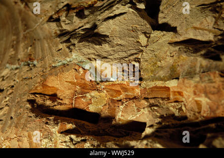 Dans Opalmine seam Opal en Coober Pedy, Australie du Sud Banque D'Images