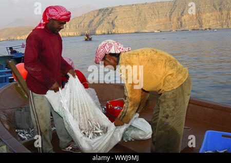 Le salage les pêcheurs attraper, Oman Banque D'Images