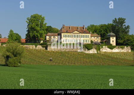 Domaine du Château de Vullierens, Schweiz Banque D'Images